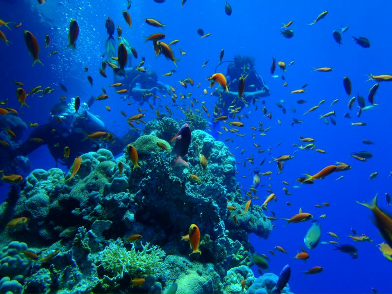 Vit Mi фотография #24