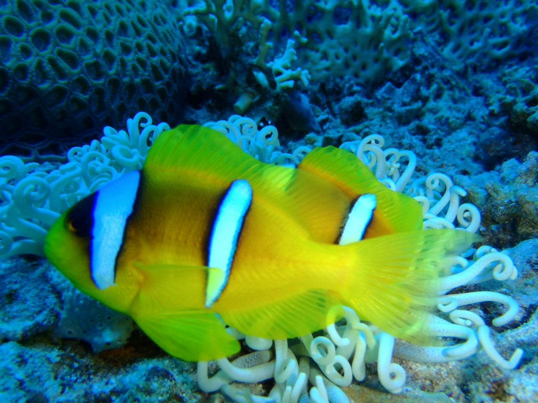 Vit Mi фотография #41