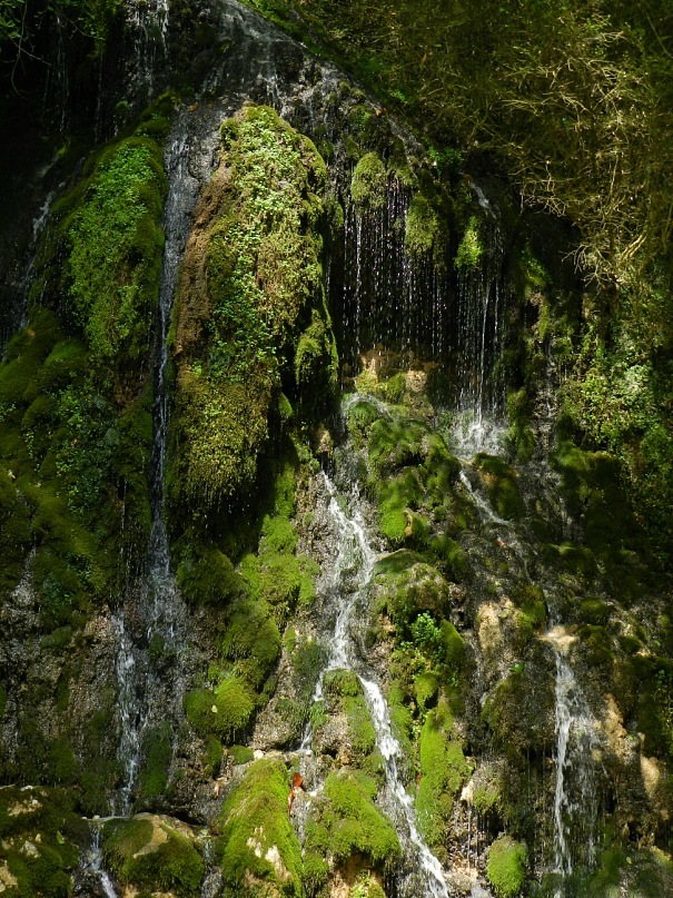 Дмитрий Толстых фотография #33