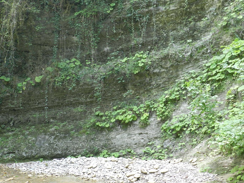 Дмитрий Толстых фотография #26