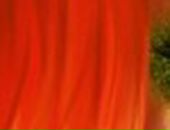 Юліанка Смеричевська фотография #8 (источник - https://vk.com/id75894250)