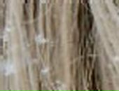 Віта Горбатюк фотография #17 (источник - https://vk.com/id89380200)