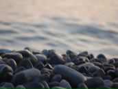 Фотография Кузьчуткомовой Марины