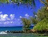 Лера Лоц фотография #18 (источник - https://vk.com/id57504657)