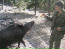 Ігор Кардаш фотография #27 (источник - https://vk.com/id145962458)