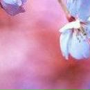 Катерина Ільїна фотография #43 (источник - https://vk.com/id9328914)