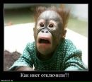 Фотография Богданович Марины