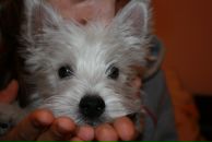 Фотография Виеру Натальи