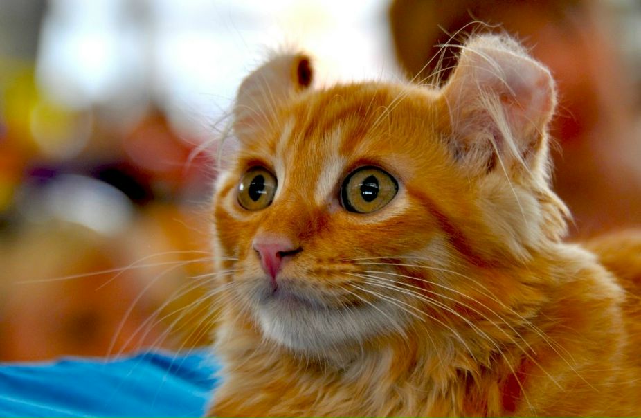 Иван Кузьмин фото №4