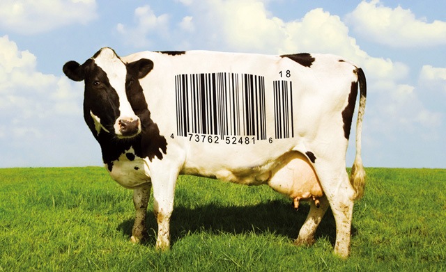 Сергей Лебеденко фотография #44