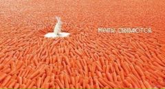 Фотография Шабалиной Ульяны