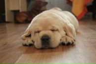 Фотография Кулинцев Иван