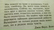 Фотография Когута Константина