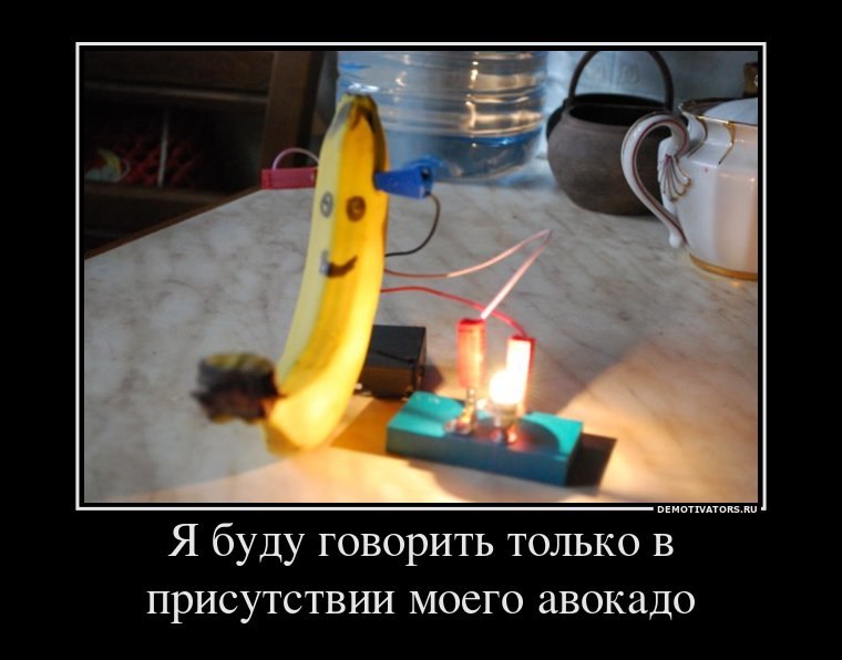 Антон Изосимов фотография #6