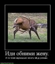 Сергей Мацулин фотография #9 (источник - https://vk.com/id1835433)