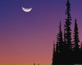 Фотография Schesnovich Максима