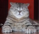 Микола Баліцький фотография #4 (источник - https://vk.com/id162084185)