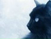 Іванка Золота фотография #37 (источник - https://vk.com/id139708248)