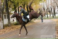 Фотография Барольской Марии