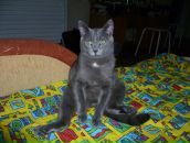 Anna Nikolenko фотография #45 (источник - https://vk.com/id390468)