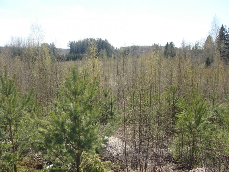 Иван Амельченко фото №29