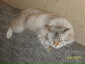 Фотография Соколовой Татьяны