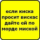 Давід Вучкан фотография #34 (источник - https://vk.com/id167037335)