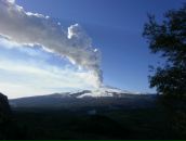 Наталі Demudka фотография #33 (источник - https://vk.com/id85121734)