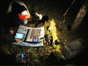 Фотография Кикнадзе Георгия