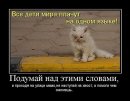 Юлія Войнова фотография #19 (источник - https://vk.com/id28866901)