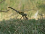 Ірина Стецюк фотография #46 (источник - https://vk.com/id6244582)