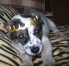 Фотография Романовой Натальи