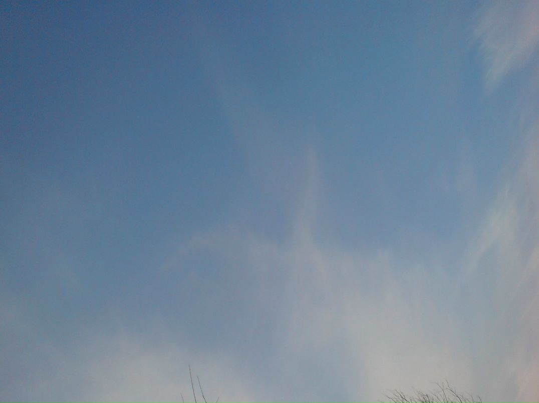 Денис Николаев фотография #15