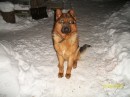 Фотография Никуленкова Анна