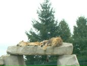 Наталія Лойко фотография #22 (источник - https://vk.com/id97309274)