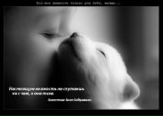 Олег Штука фотография #12 (источник - https://vk.com/id1790582)