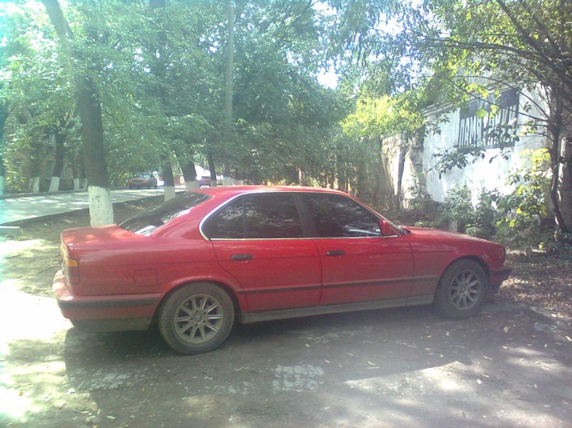 Дима Борисов фотография #23