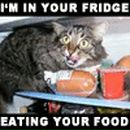 Оо Оо фотография #6 (источник - https://vk.com/id2338193)