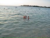 Лідія Ганібал фотография #25 (источник - https://vk.com/id71517154)