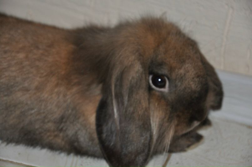 Марк Макаров фотография #23