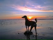 Фотография Краевой Екатерины