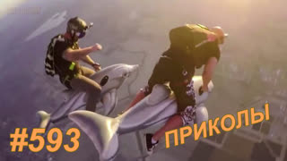 Приколы ноябрь 2019 №593
