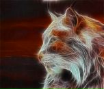 Фотография Трифоновой Людмилы