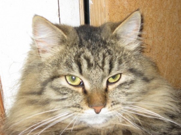 S@nta S@nta фото №1