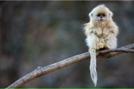 Фотография Софьиной Евгении