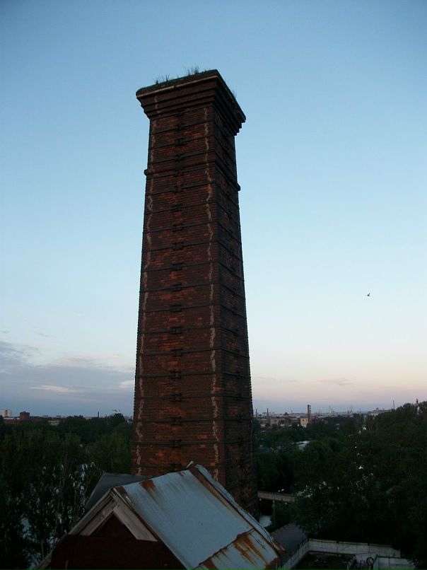 Bitnick Bitnick фотография #28