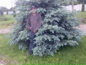 Петро Прокіпчин фотография #17 (источник - https://vk.com/id68543308)