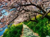 Ростік Засєдволк фотография #20 (источник - https://vk.com/id22721303)