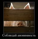 Фотография Зиминой Дины