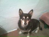 Фотография Туркина Жанна